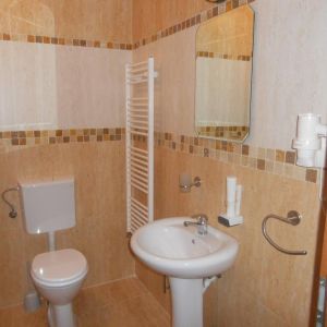 Hotel Parc Moneasa