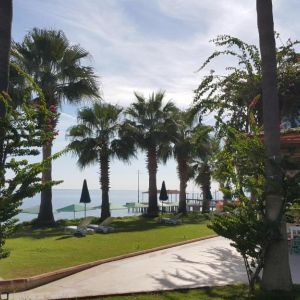 Seagull Hotel