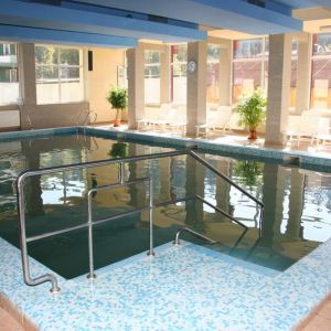 Hotel Bradul Vatra Dornei