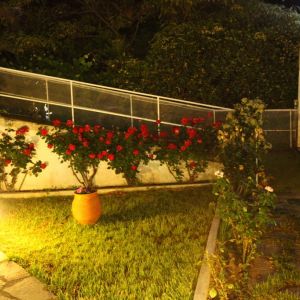 Hotel Philoxenia Inn