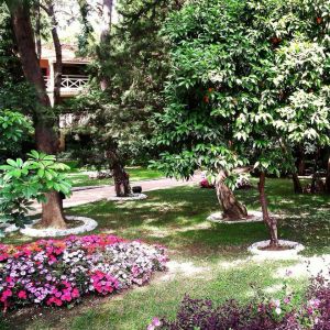 Hotel Marti Myra Kemer
