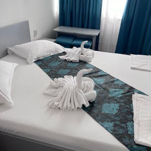 Hotel Minerva