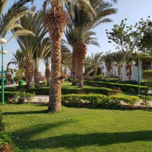 Hotel Menaville Safaga