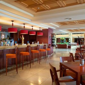 Elba Estepona Gran Hotel and Thalasso Spa