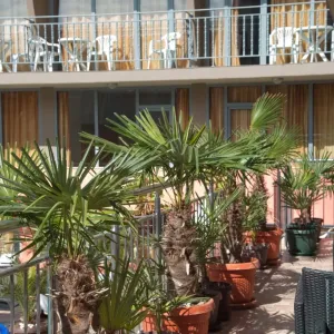 Hotel Tia Maria