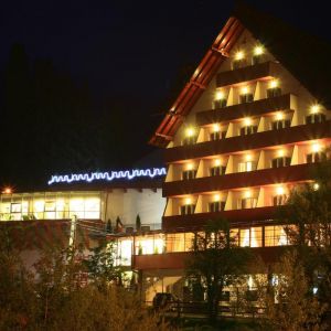 Hotel Roman Maramures