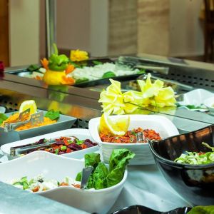 Hotel Theoxenia Halkidiki