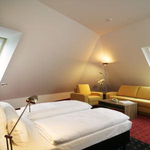 Hotel Senator