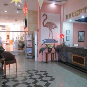 Hotel Flamingo Beach