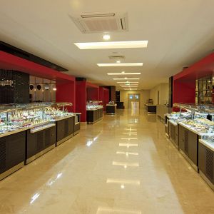 Hotel Commodore Elite Suites and Spa