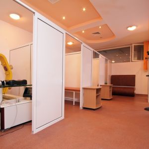 Hotel President Olanesti