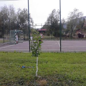 Pensiunea Cristal