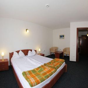 Hotel Paltinis Borsa