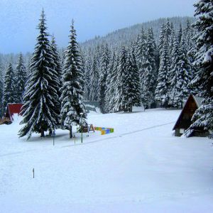 Malina Holiday Village