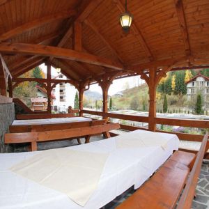 Hotel Paltinis Borsa