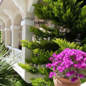 Hotel Garden Resort Bergamot
