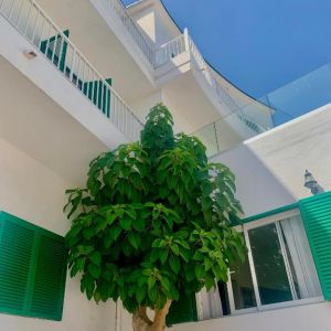 Hotel Tagomago