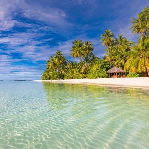 Sun Siyam Vilu Reef