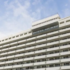Hotel Mures Baile Felix