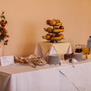 Hotel Mures Baile Felix