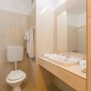Hotel Mures Baile Felix