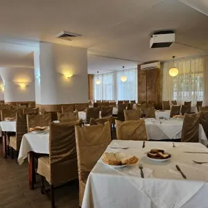 Hotel Mures Baile Felix
