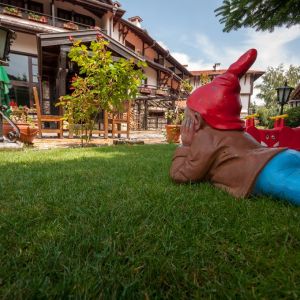 Hotel Tanne