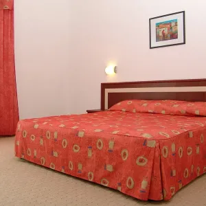 Hotel Mena Palace