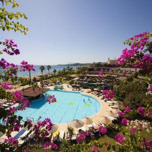 Hotel Armas Labada