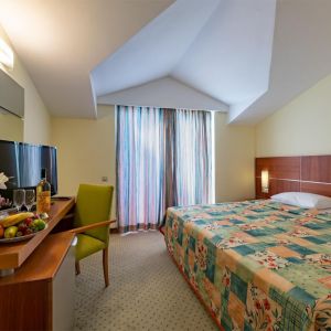 Viking Park Hotel
