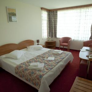 Complex Steaua de Mare Hotel Delfinul, Meduza