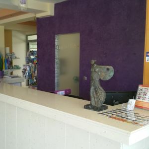 Faliraki Dream Studios