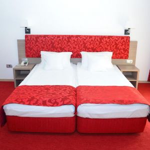 Hotel Tisa