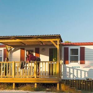 Bungalouri Borik