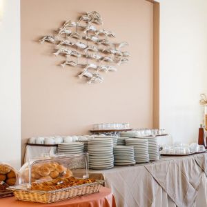 Hotel Chryssi Akti
