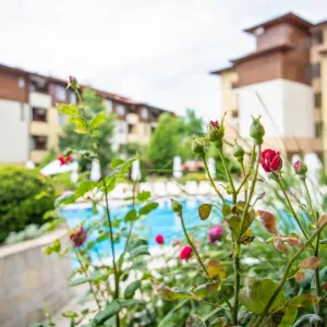 Hotel Garden of Eden