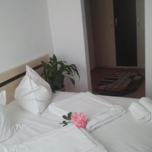 Hotel Venus Mamaia