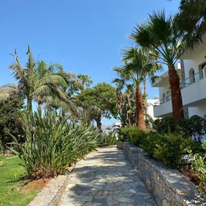 Kyknos Beach Hotel and Bungalows