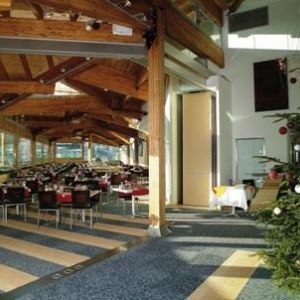 Hotel Alpina