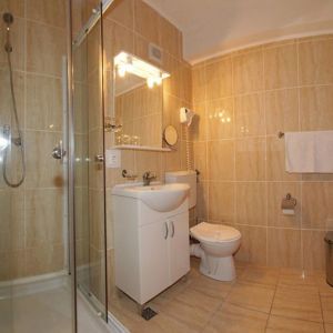 Hotel International Herculane