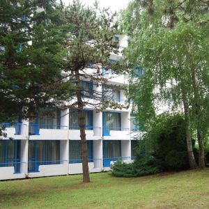 Hotel Brandusa