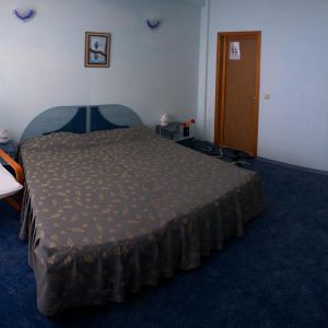 Hotel Allegro