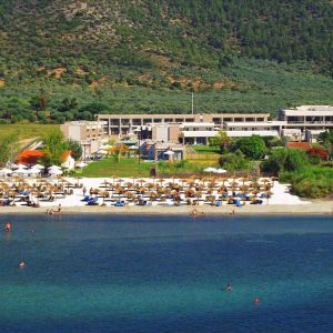 Hotel Alea and Suites