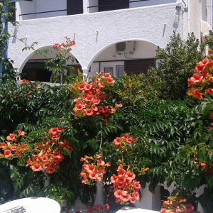 Hotel Gouvia Corfu