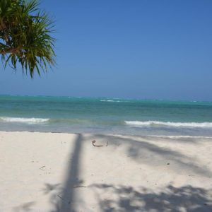 Hotel Neptune Pwani Beach Resort and Spa