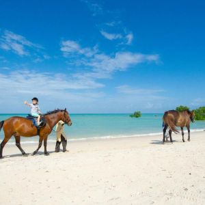 Hotel Sea Cliff Resort and Spa