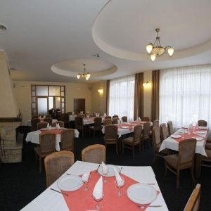 Hotel Paltinis Borsa