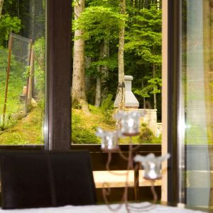Hotel Regal Sinaia