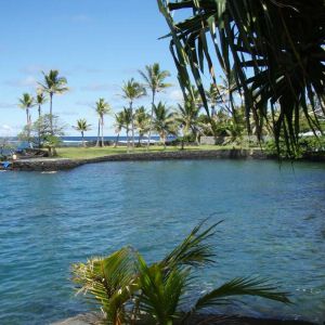 Hotel Hilton Prince Kuhio