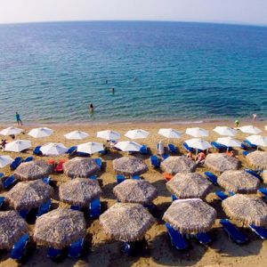 Sonia Resort